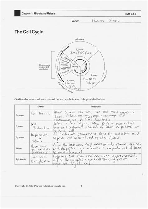 cells alive cell cycle worksheet answer key pdf